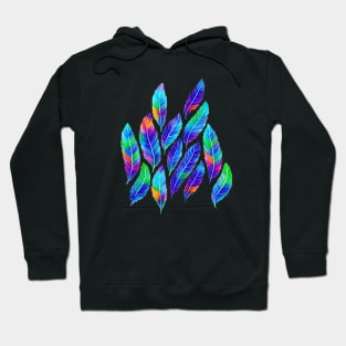 Multicolor Feathers Watercolor Painting Hoodie